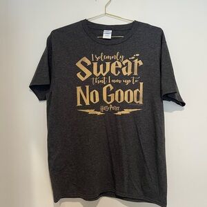 Harry Potter Gray T-Shirt with Gold Print